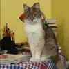 Отзыв от Людмила Минаева